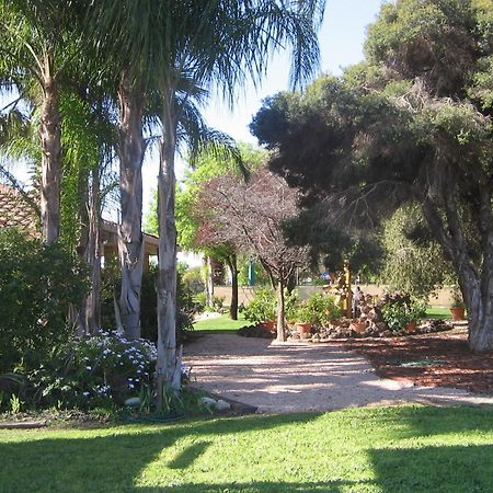 Orana Motor Inn Mildura Bagian luar foto